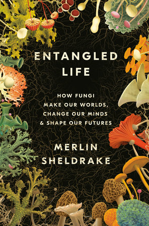 Läs om svampars intrasslade liv i Entangled Life, av Merlin Sheldrake