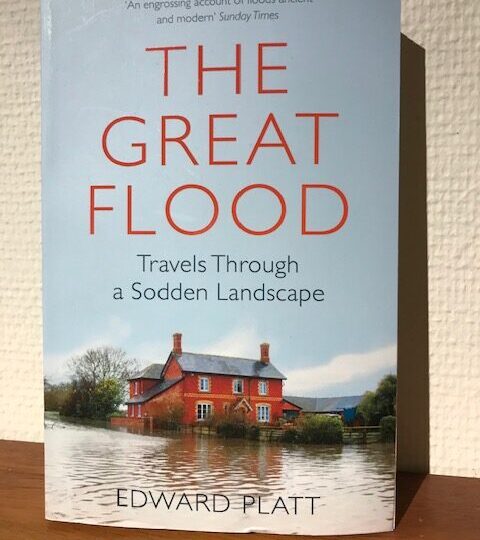 Edward Platt: The Great Flood. Travels Through a Sodden Landscape