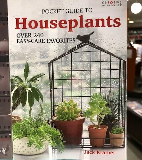 Pocket Guide to Houseplants. Over 240 Easy-Care Favourites, av Jack Kramer