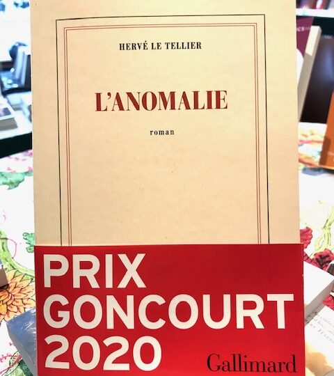 Äntligen skickade fransmännen den Goncourtprisade romanen L´Anomalie, av Hervé Le Tellier, till oss!