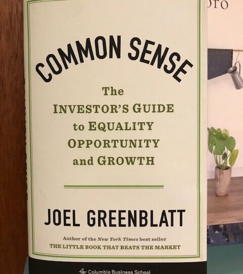 Common Sense. The Investor´s Guide to Equality, Opportunity and Growth, av Joel Greenblatt