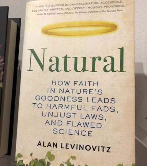 Natural. How Faith in Nature´s Goodness Leads to Harmful Fads, Unjust Laws, and Flawed Science, av Alan Levinovitz
