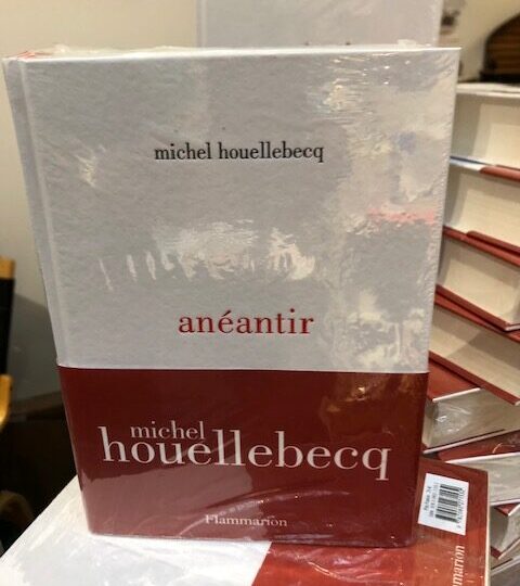 Nu fick vi in Michel Houellebecqs nya roman Anéantir igen