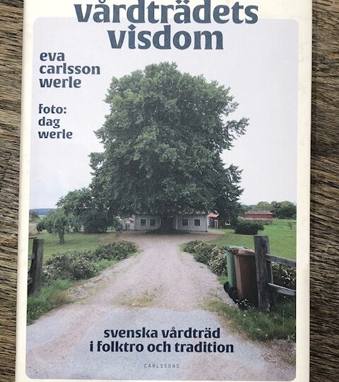 Eva Carlsson Werle: Vårdträdets visdom : svenska vårdträd i folktro och tradition