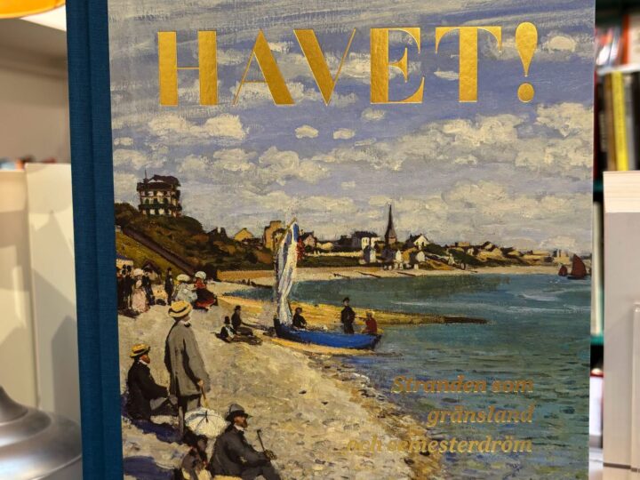 Till havet : konsten och längtan till kusten