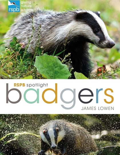 James Lowen: Badgers