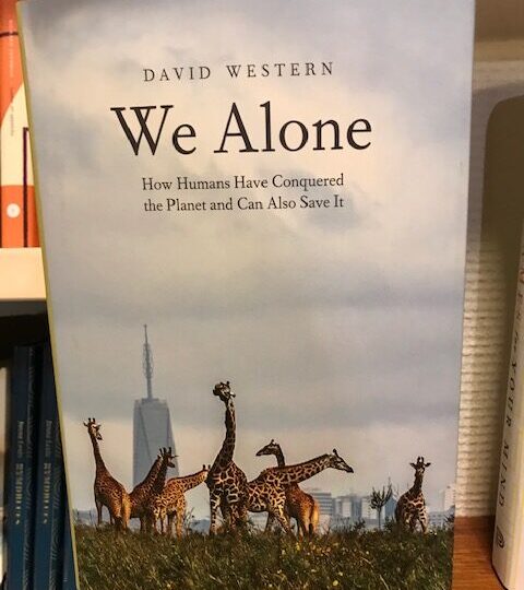 We Alone. How Humans Have Conquered the Planet and Can Also Save It, av David Western