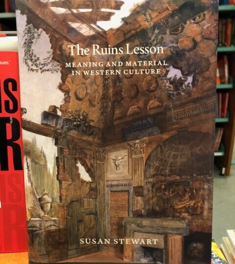The Ruins Lesson. Meaning and Material in Western Culture, av Susan Stewart