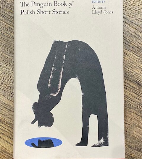 The Penguin Book of Polish Short Stories. Edited by Antonia Lloyd-Jones