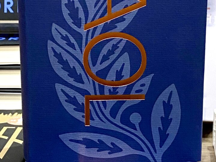 Svenska Akademiens ordlista, femtonde upplagan (2026)