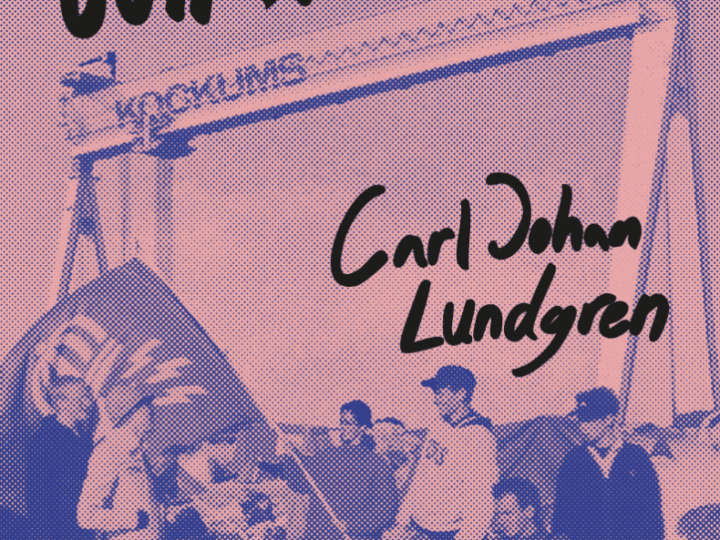 Carl Johan Lundgren: Mitt eget bull Hawaii