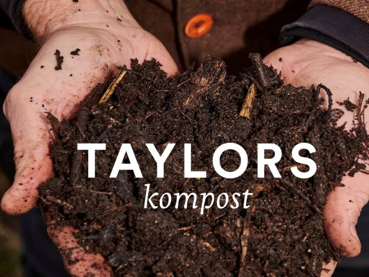 John Taylor: Taylors kompost