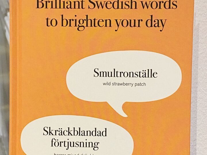 Anita Shenoi: Brilliant Swedish words to brighten your day