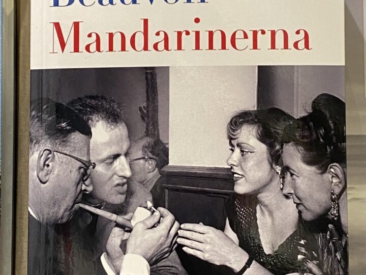 Simone de Beauvoir: Mandarinerna