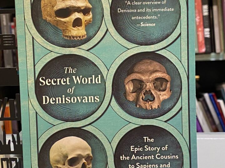 Silvana Condemi, François Savatier: The Secret World of Denisovans: The Epic Story of the Ancient Cousins to Sapiens and Neanderthals